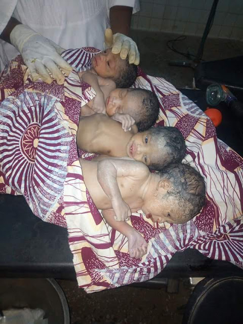 Photos: Woman gives birth to quadruplets in Katsina State