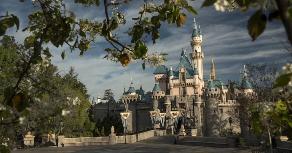sleeping beauty castle