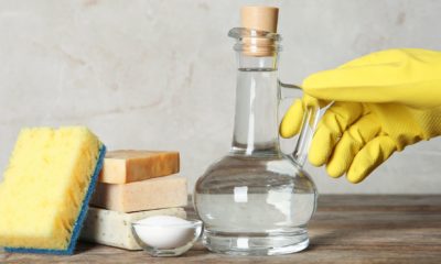 15 Clever Ways Vinegar Can Work Magic Around Your House