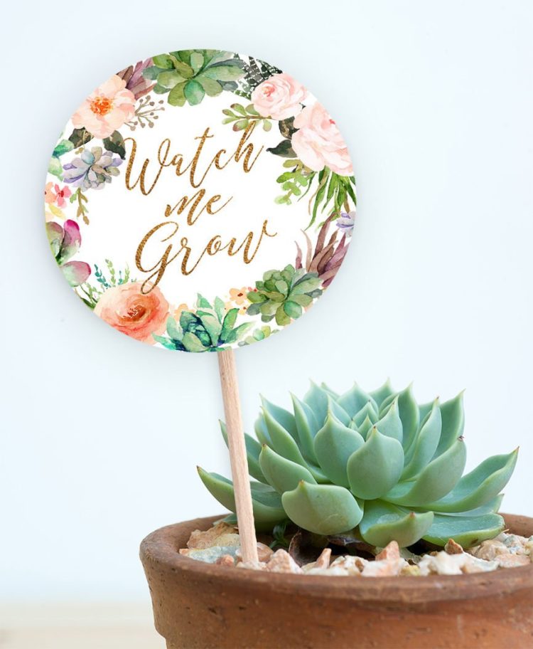 A floral tag that reads "watch me grow: sits in a succulent plant.