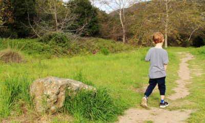 How Do I Tell My Kids What We've Done To The Climate?