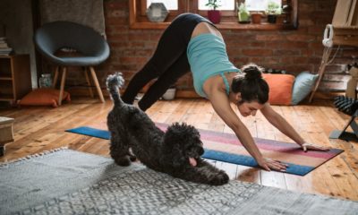 Trainer-Approved Ways To Keep Your Pet Healthy While Limiting Outside Time