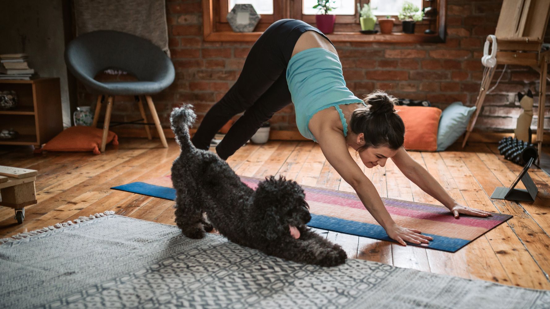 Trainer-Approved Ways To Keep Your Pet Healthy While Limiting Outside Time