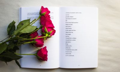 Show the Love for Moms through Poems: Best Poetry Books for Moms