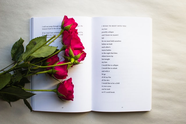 Show the Love for Moms through Poems: Best Poetry Books for Moms