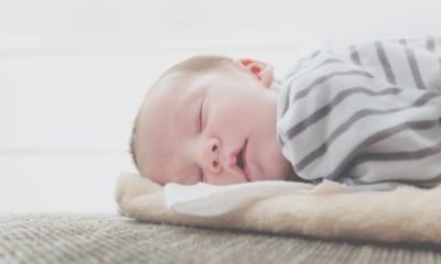 Do Babies Dream? A Question Every Parent Asks
