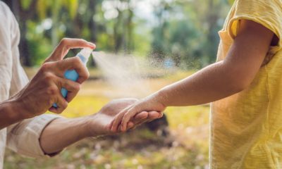 The $5 Natural Bug Spray Recommended By Consumer Reports