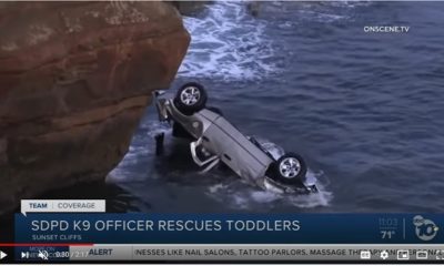 Officer Bravely Jumped Off Cliff to Save Two-Year-Old Twins [Father Drove Them to Fall]