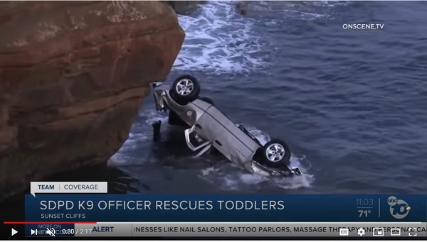 Officer Bravely Jumped Off Cliff to Save Two-Year-Old Twins [Father Drove Them to Fall]