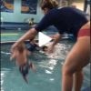 Viral Video: Baby Tossed into a Swimming Pool by an Instructor