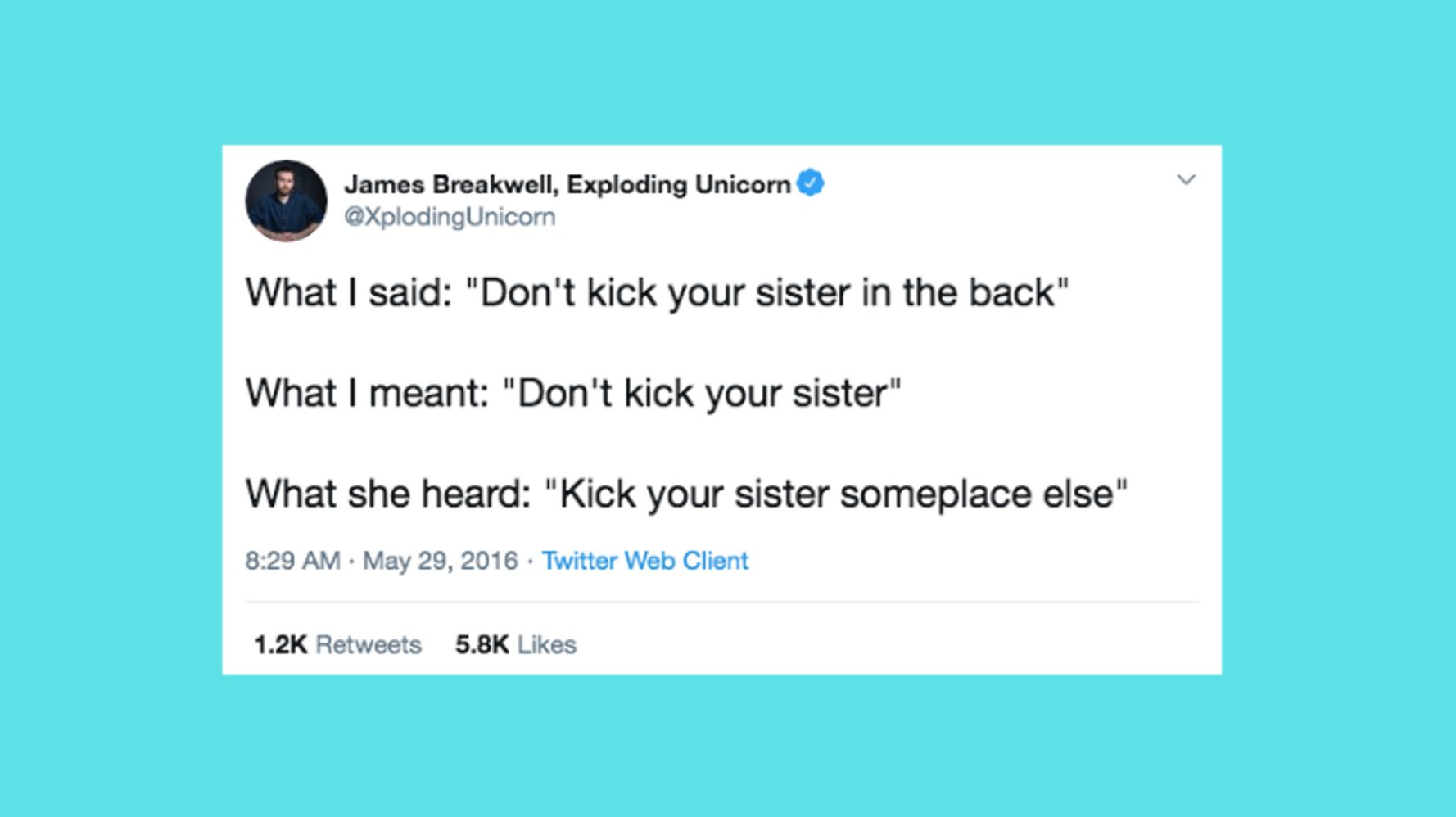 45 Hilarious Tweets About Parenting Siblings