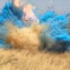 gender-reveal-explosion-starts-wildfire