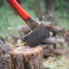 How to Cut down a Tree: Easy and Safe Steps to Follow