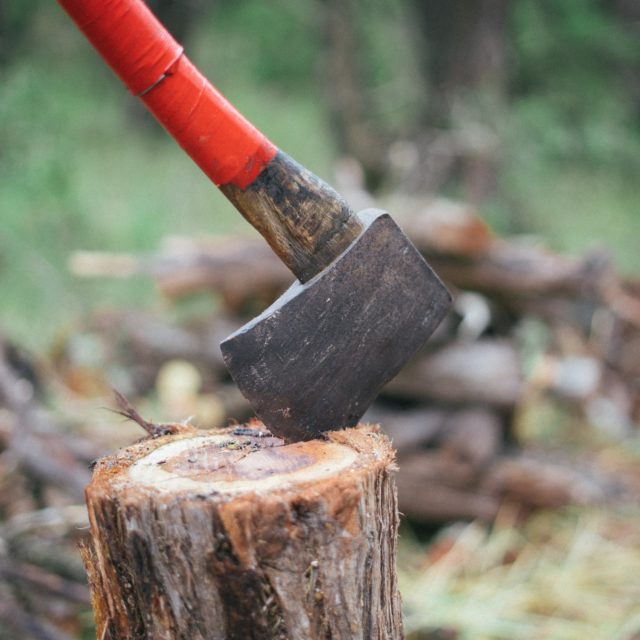 Tree Step Cut How to Cut down a Tree: Easy and Safe Steps to Follow - Baby Bellies ...