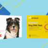 Popular Dog DNA Test Kits Embark And Wisdom Panel Are On Sale For Prime Day