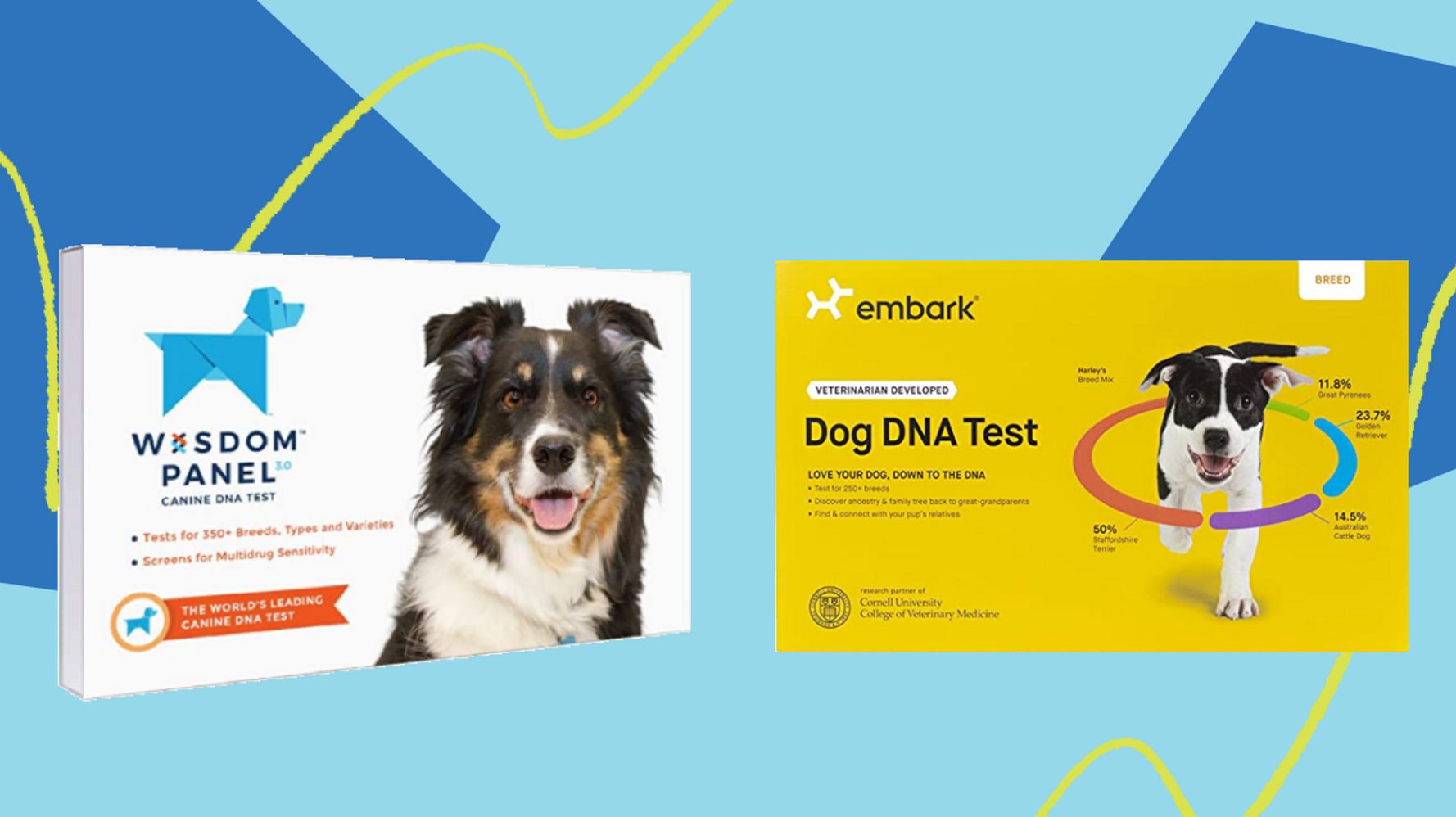 Popular Dog DNA Test Kits Embark And Wisdom Panel Are On Sale For Prime Day