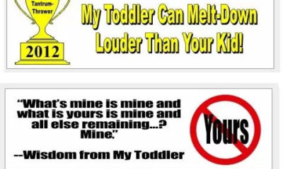 8 Bumper Stickers That Are Inspired by Toddlers - The Mom Beat