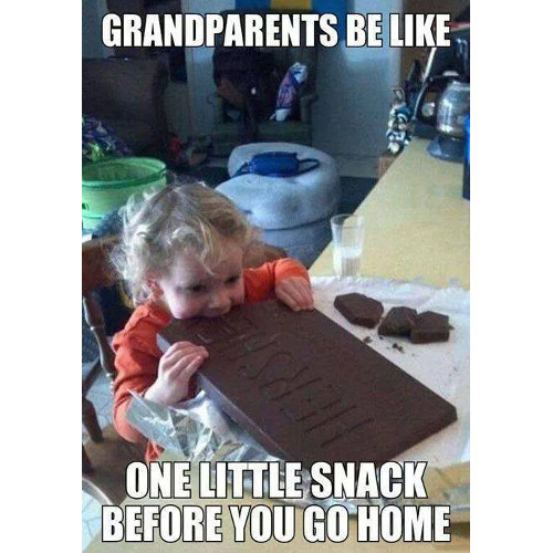 Kid eating giant chocolate bar