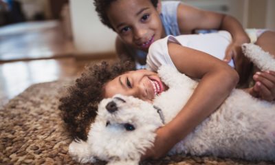 How Pets Can Help With Child Mental Health And Development