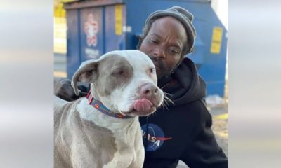 Homeless Man Spots Burning Animal Shelter And Rushes Inside To Save Lives.
