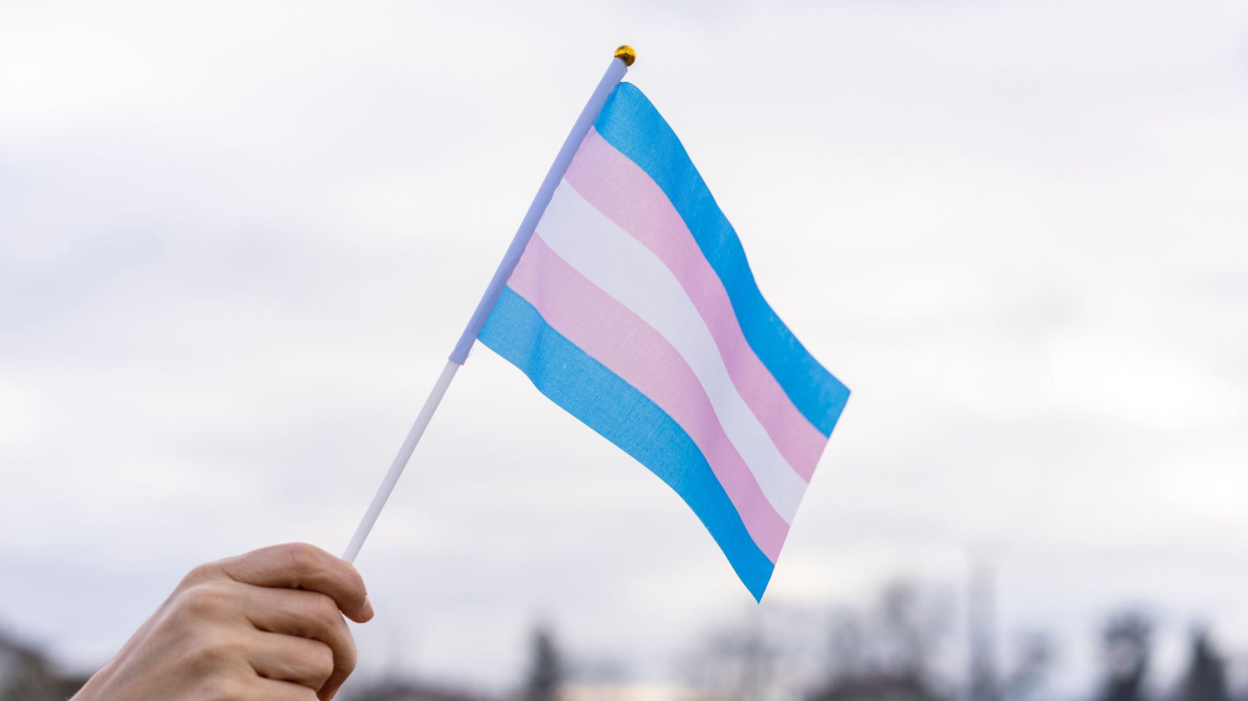 Dear Adults: If You're Not Fighting For Trans Kids' Rights, Please Start