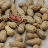 Does Eating Nuts Help To Improve Studying and Strengthen Brain Function?