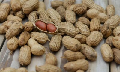 Does Eating Nuts Help To Improve Studying and Strengthen Brain Function?