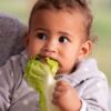 Is A Vegan Diet Safe For Kids?