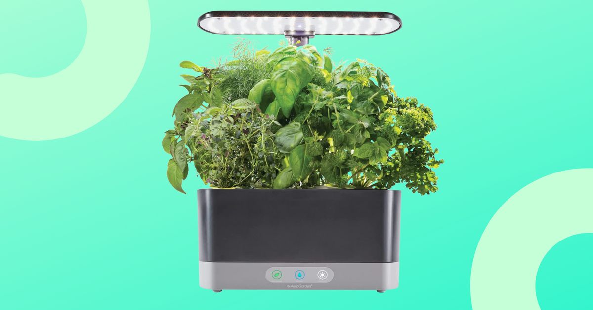 The Perfect Gift For Green Thumbs Is $75 Off Right now