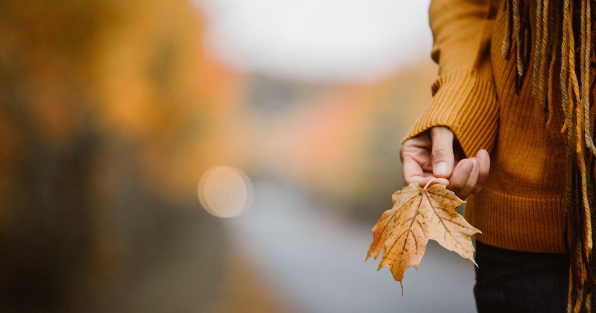 Do You Get More Anxious Or Sad In The Fall? There's A Reason For That.