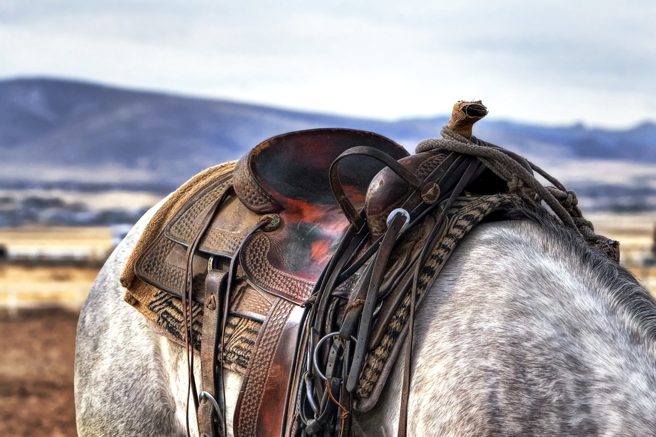 Deaf Teen Pursues Dream to Be a Professional Horseman