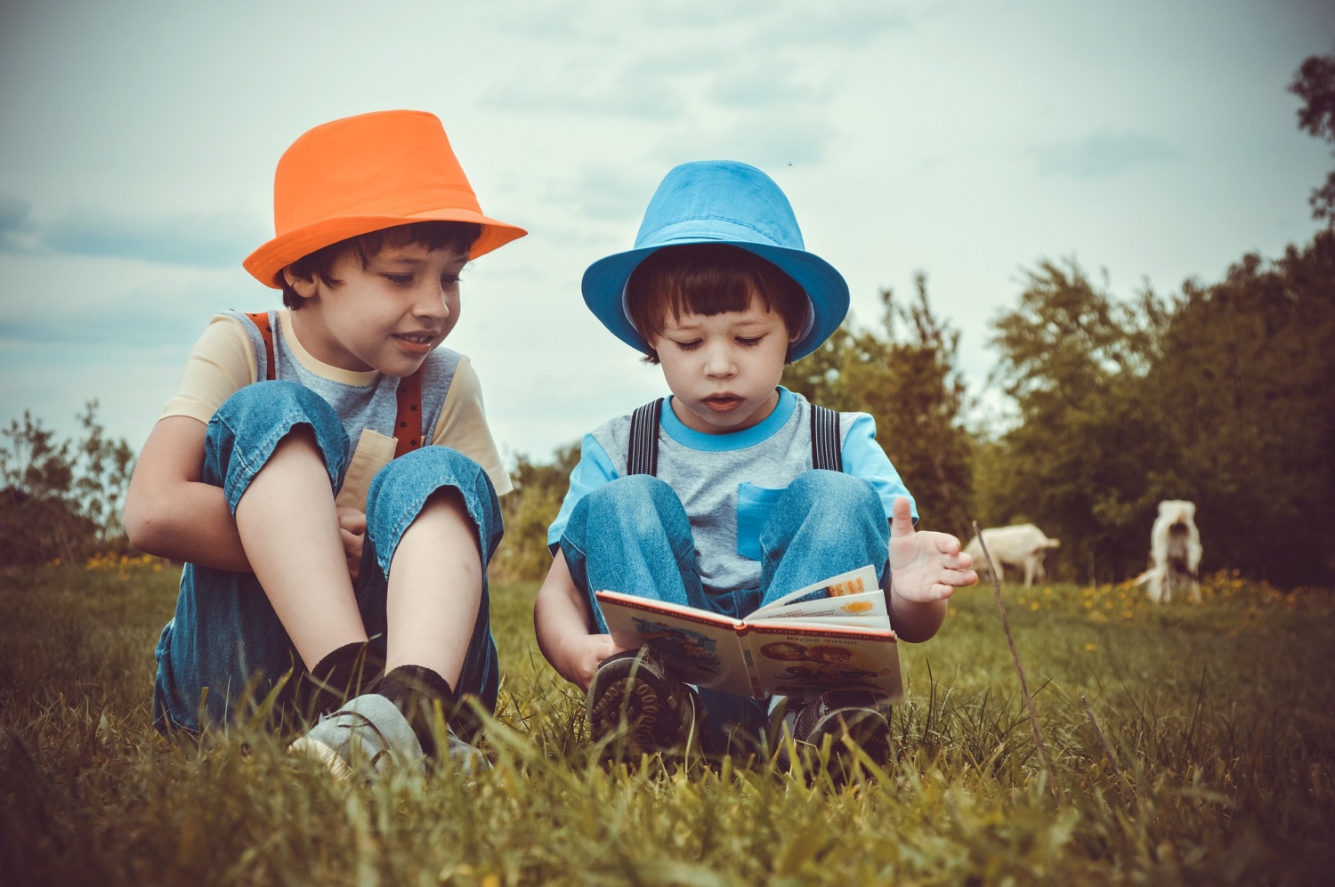 How Reading Appears To Be the Most Fundamental Skills Kids Need To Be Successful?