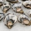 How Shellfish is a Common Allergen: It Can Potentially Develop at Any Time