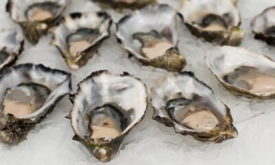 How Shellfish is a Common Allergen: It Can Potentially Develop at Any Time