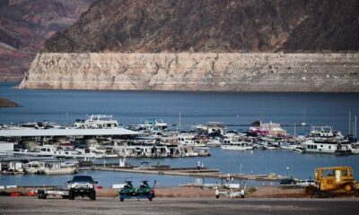 Las Vegas Teen Dies From Brain-Eating Amoeba After Swimming at Lake Mead