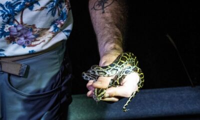 South Florida Teen Wins Competition by Capturing 28 Burmese Pythons