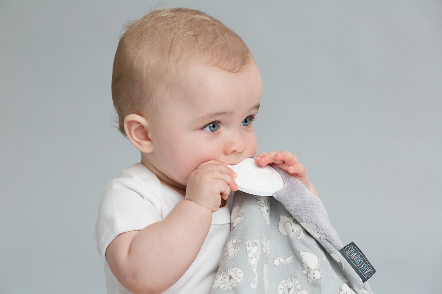 Amazon Review: Smily Mia Penguin Buddy Silicone Baby Teething Toy