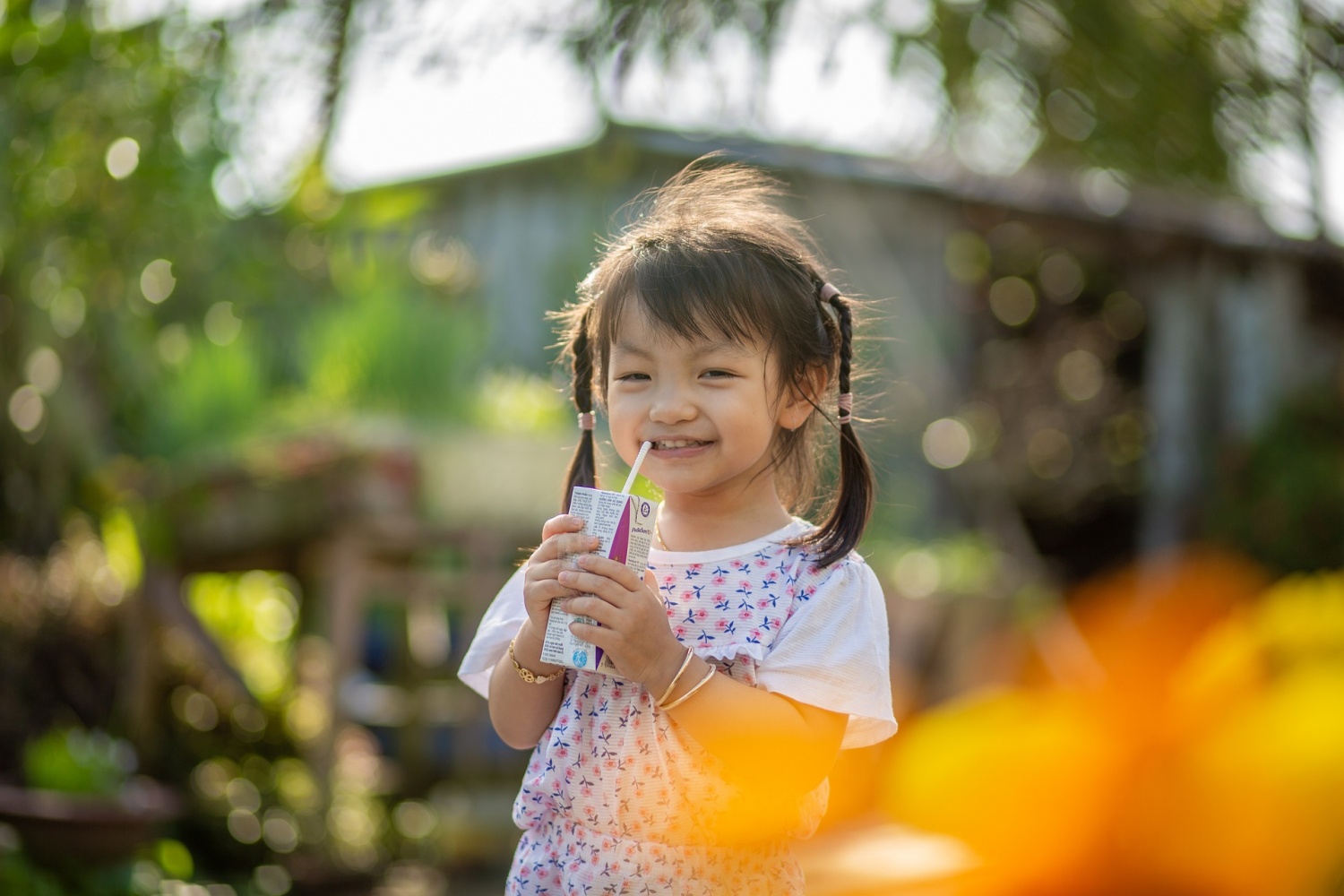 How Electrolytes are Responsible for Maintaining a Significant Number of Normal Bodily Functions