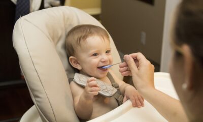 PandaEar 3 Pack Bibs: Its Non-Messy and Waterproof Features Allow Babies to Enjoy Their Food