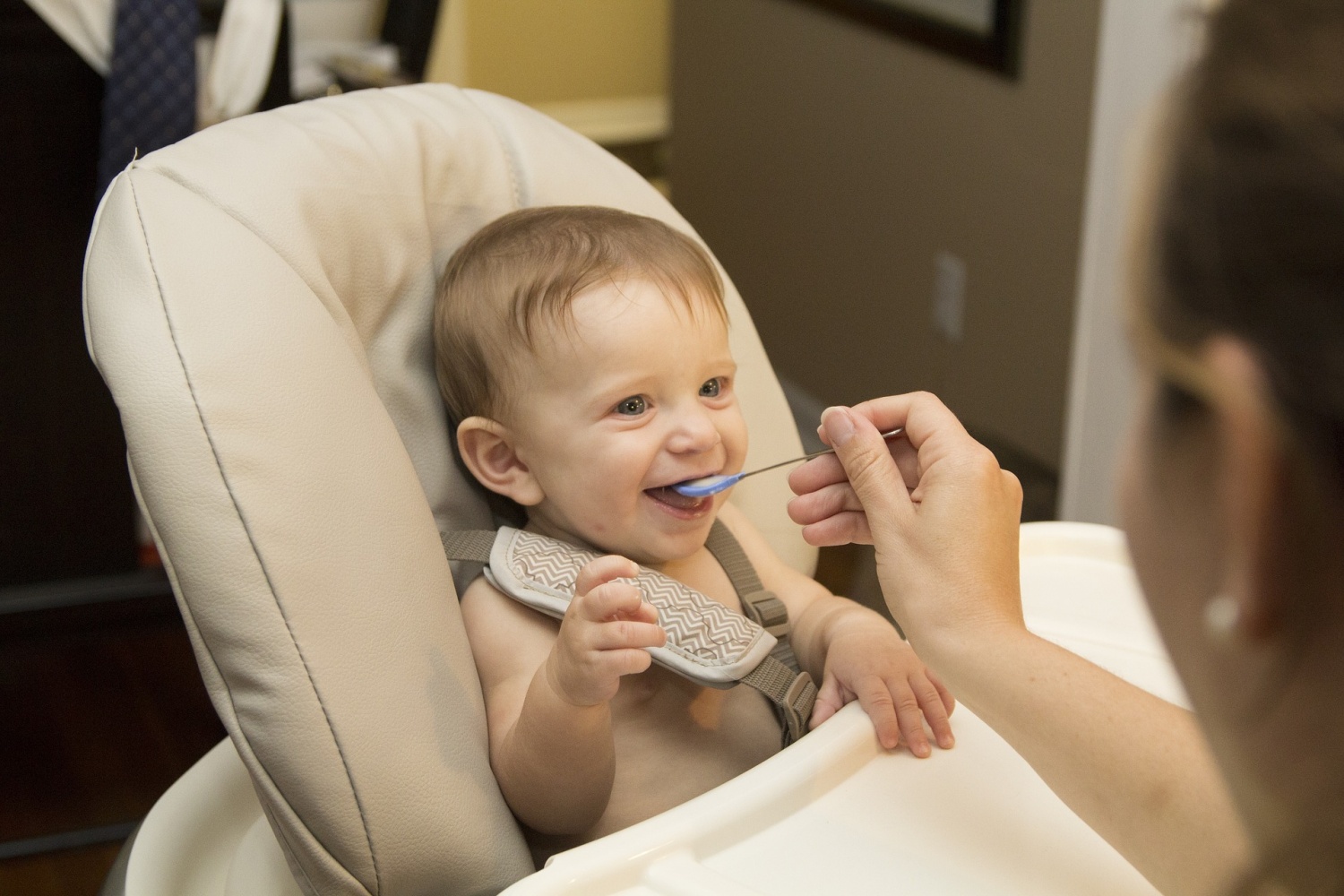 PandaEar 3 Pack Bibs: Its Non-Messy and Waterproof Features Allow Babies to Enjoy Their Food