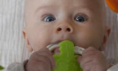 Product Recall: Baby Musical Instruments and Crochet Animal Rattle Set Can Be a Choking Hazard