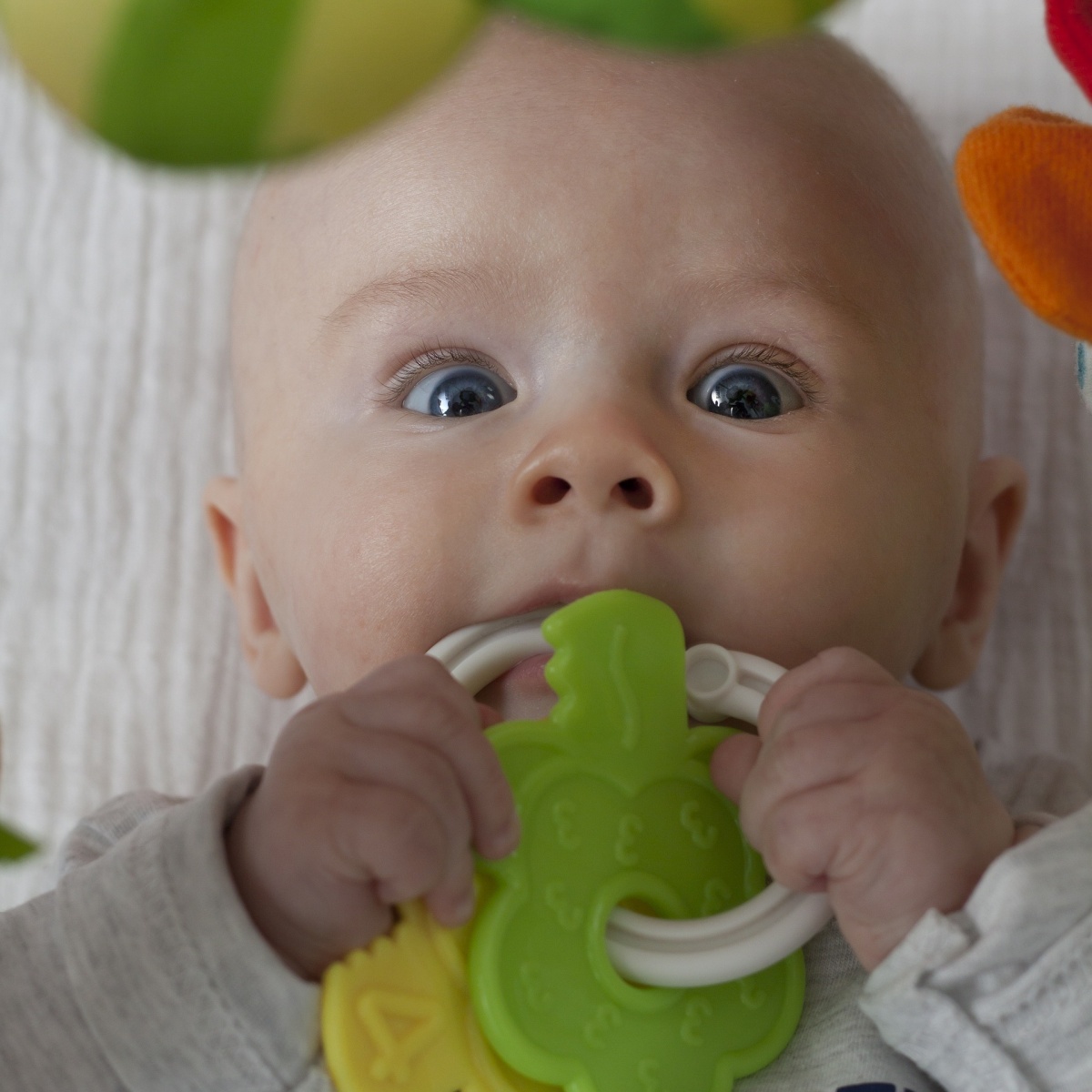 Product Recall: Baby Musical Instruments and Crochet Animal Rattle Set Can Be a Choking Hazard