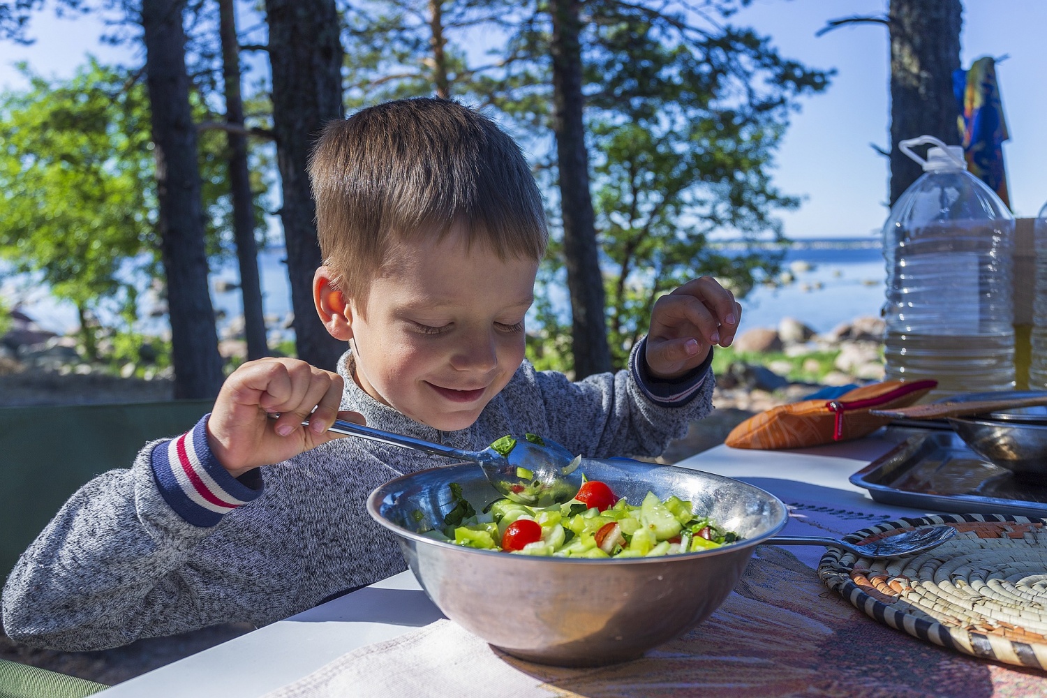 Vegetables in Meals: To Hide or Not to Hide?