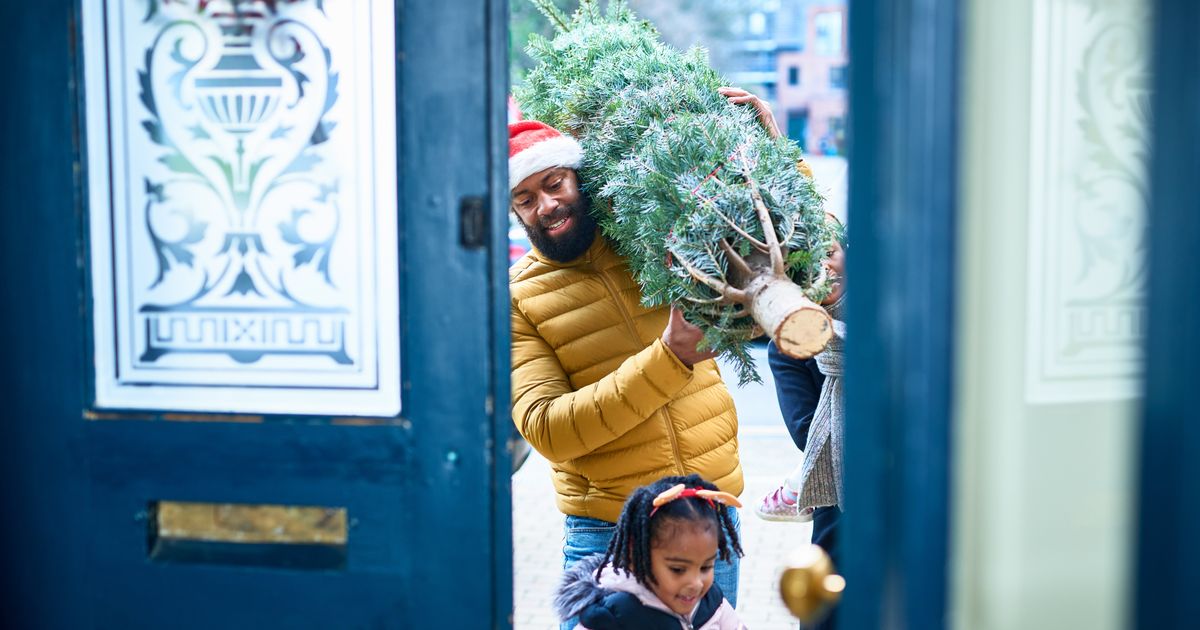 Putting Up A Tree This Year? Your Home's Air Quality May Be Affected.