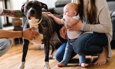 How to Introduce Your Pet to Your New Baby - Pregnancy & Newborn Magazine