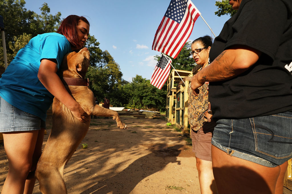 7-Year-Old Girl Dies From Brutal Dog Attack in Louisiana; Dog Owner Faces Homicide Charges