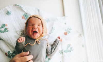 Baby's First-Year Milestones - Pregnancy & Newborn Magazine