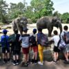 Wildlife Homeschooling Is Bringing Science, Animals Together in a Unique Learning Opportunity