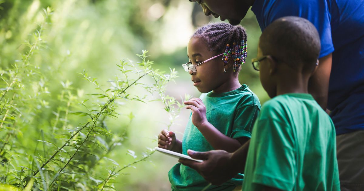 You’re Going To Have To Teach Your Kids About Climate Change. Here’s How.