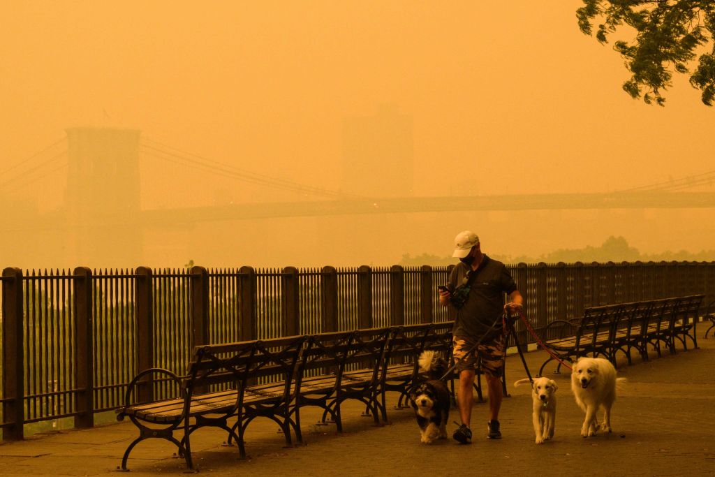 Emergency Planning Criticized as New Yorkers React to Late Notifications on Unhealthy Air Quality